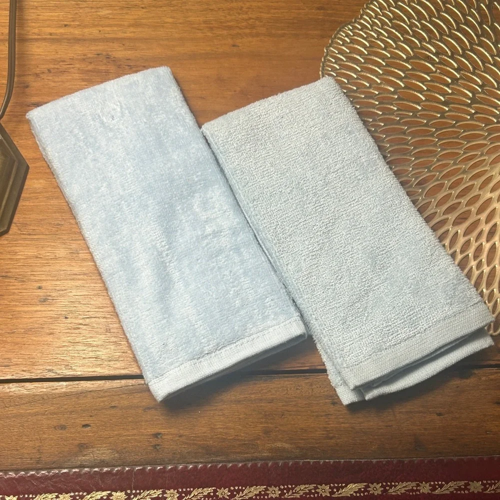 Lady Bug Daffodil Finger Tip Towel Set of 2 Embroidered Light Blue Terry Cloth